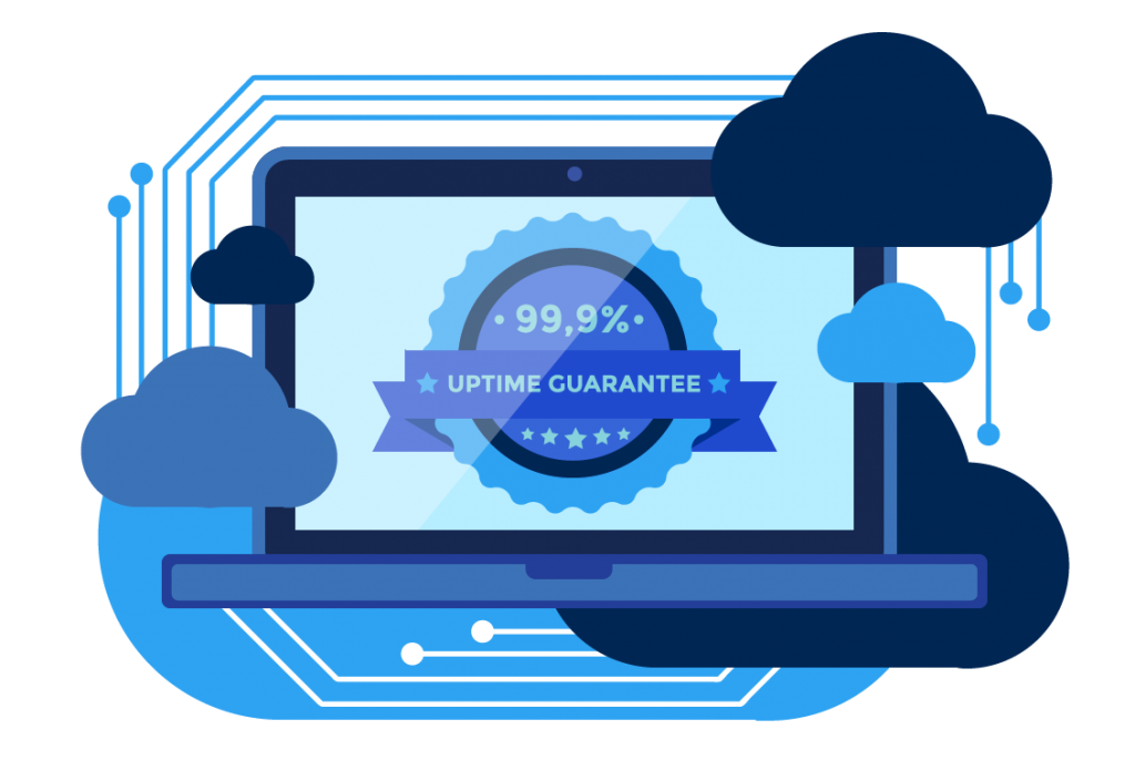 Up Time Guarantee Of 99 9 With Vicihost 1024X705 1