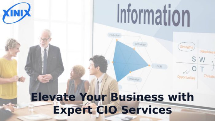 Elevate Your Business with Expert CIO Services