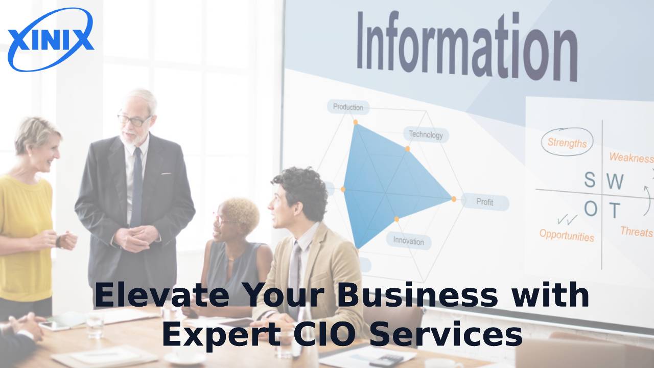 Elevate Your Business with Expert CIO Services