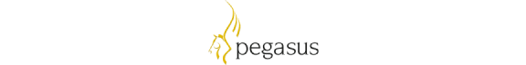 pegasus@2x