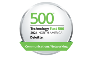 Deloitte award badge