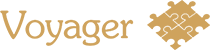 voyager infinity logo